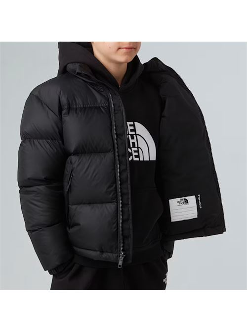  THE NORTH FACE | NF0A8A4CGOG1GOG